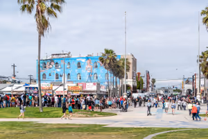 Лудницата във Venice Beach
