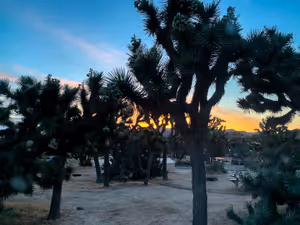 Изгрева в националния парк Joshua Tree