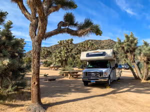 Къмпингът Black Rock в Joshua Tree