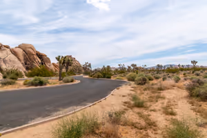 Joshua Tree National Park
