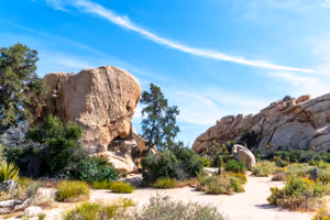 Baker Dam Trail
