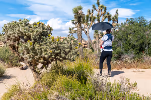 Baker Dam Trail