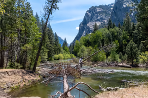 Zumwalt Meadow
