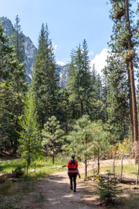 Zumwalt Meadow