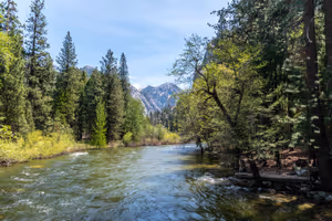 Zumwalt Meadow