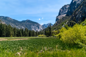 Zumwalt Meadow