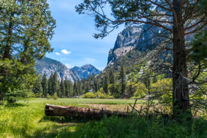 Zumwalt Meadow