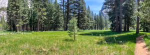 Zumwalt Meadow