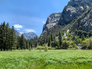 Zumwalt Meadow