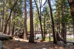 Zumwalt Meadow