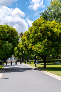 State Capitol Park