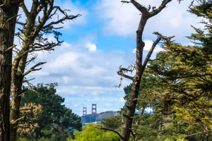 ÐÐ° ÑÐ°Ð·Ñ
Ð¾Ð´ÐºÐ° Ð² Golden Gate Ð¿Ð°ÑÐº - Ð³Ð»ÐµÐ´ÐºÐ° ÐºÑÐ¼ Golden Gate Bridge