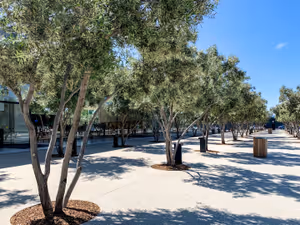 Apple Park