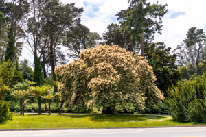 Ð Ð°Ð·Ñ
Ð¾Ð´ÐºÐ° Ð² Golden Gate Park
