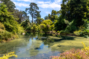Ð Ð°Ð·Ñ
Ð¾Ð´ÐºÐ° Ð² Golden Gate Park