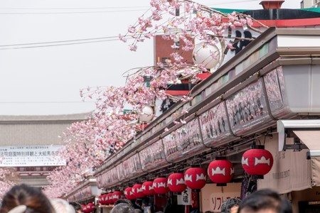 Nakamise shopping street