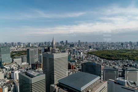 From the top of the Tokyo Metropolitan Government Building