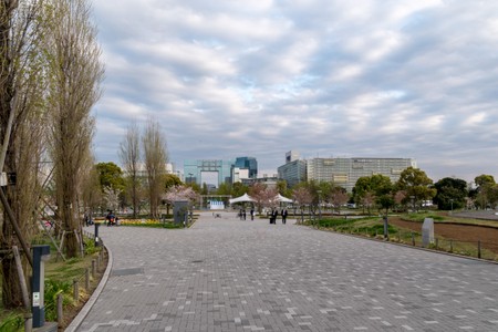 Odaiba island