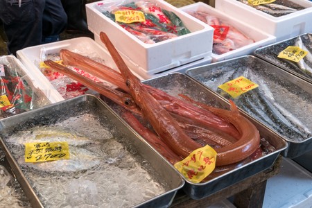 Tsukiji fish market