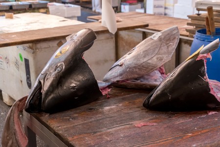 Tsukiji fish market