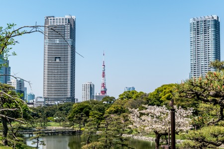 Hamarikyu Gardens with a view of the Tokyo Tower