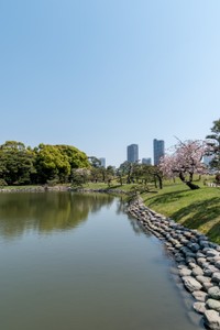 Hamarikyu Gardens