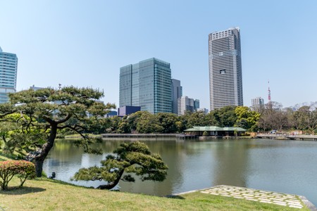 Hamarikyu Gardens