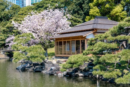 Tea house in the Hamarikyu Gardens