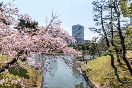Hamarikyu Gardens