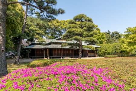 The Imperial Palace Gardens