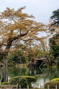 Kenrokuen Garden in Kanazawa