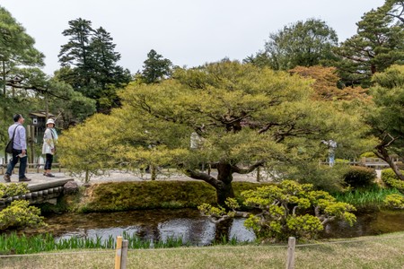 Kenrokuen Garden in Kanazawa