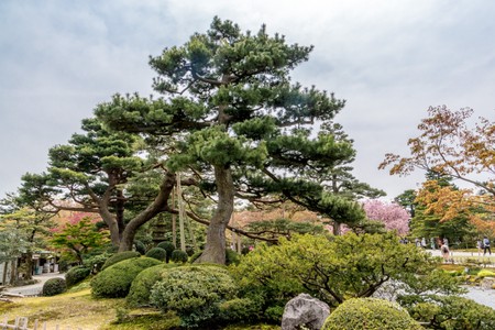 Kenrokuen Garden in Kanazawa