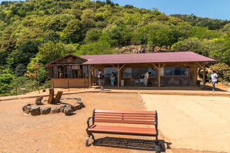 Taking a break from the temple hopping in the Iwatayama Monkey Park
