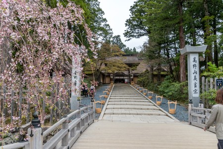 Koyasan - the mountain of the buddhist monks