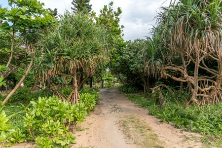 Fusaki beach on Ishigaki Island