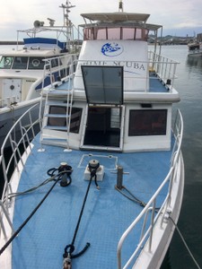 Scuba diving to see the giant manta rays