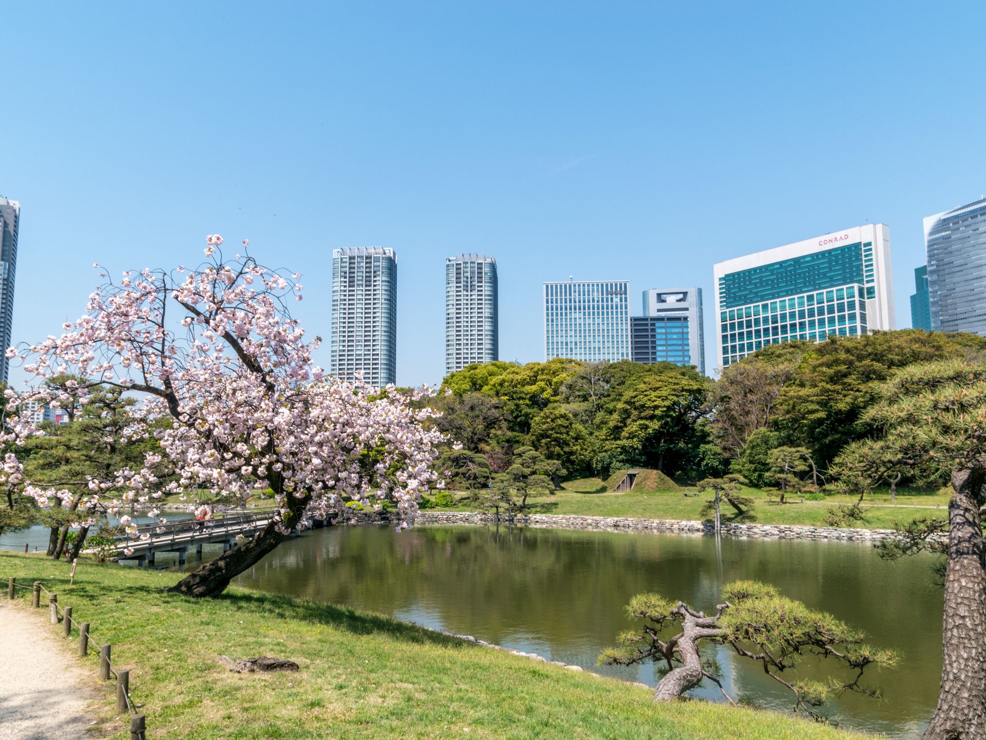 Japan Trip Photo Gallery