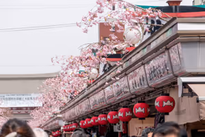 Nakamise shopping street
