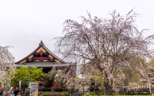 Ueno Park