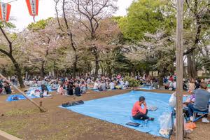 Picknick under the cherry blosson in Ueno Park