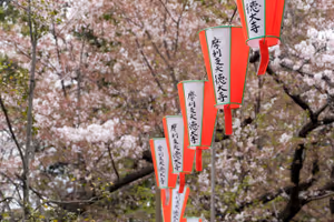 Ueno Park
