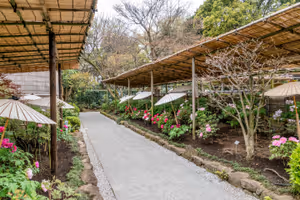 Ueno Toshogu Peony Garden
