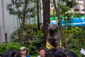 Hachiko waiting for his master
