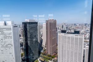 From the top of the Tokyo Metropolitan Government Building