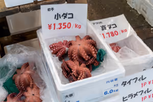 Tsukiji fish market