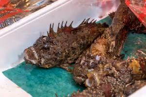 Tsukiji fish market