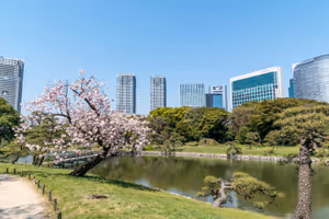 Hamarikyu Gardens