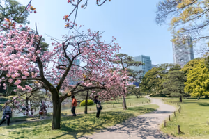 Hamarikyu Gardens