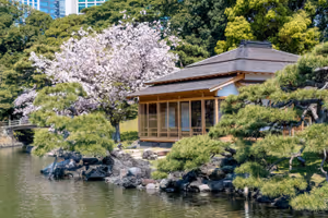 Tea house in the Hamarikyu Gardens